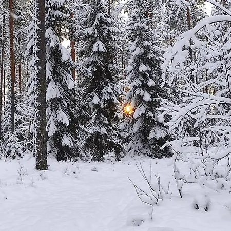 別荘 Holiday Cabin Kerimaa 121 *