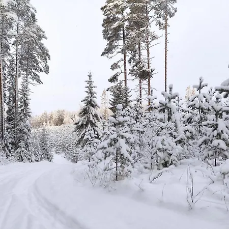 Holiday Cabin Kerimaa 121 * Савонлинна