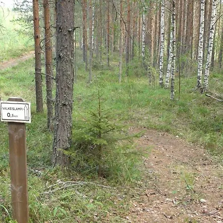 Holiday Cabin Kerimaa 121