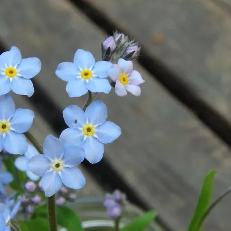 Holiday Cabin Kerimaa 121 Дом отдыха *