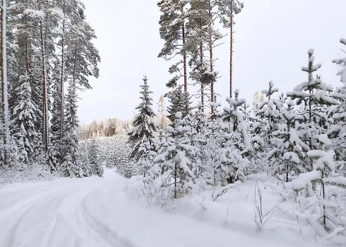 Holiday Cabin Kerimaa 121 * Savonlinna