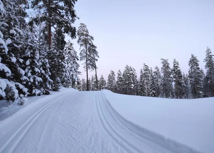 Holiday Cabin Kerimaa 121 Savonlinna