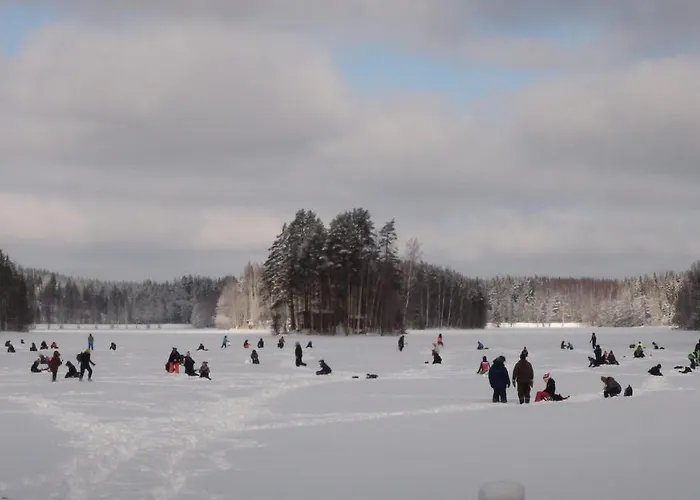 Tatil Evi Holiday Cabin Kerimaa 121 *