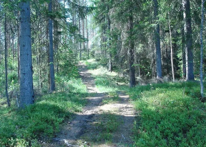 Tatil Evi Holiday Cabin Kerimaa 121 *