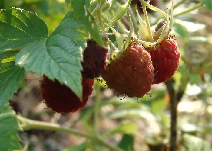 Holiday Cabin Kerimaa 121 *